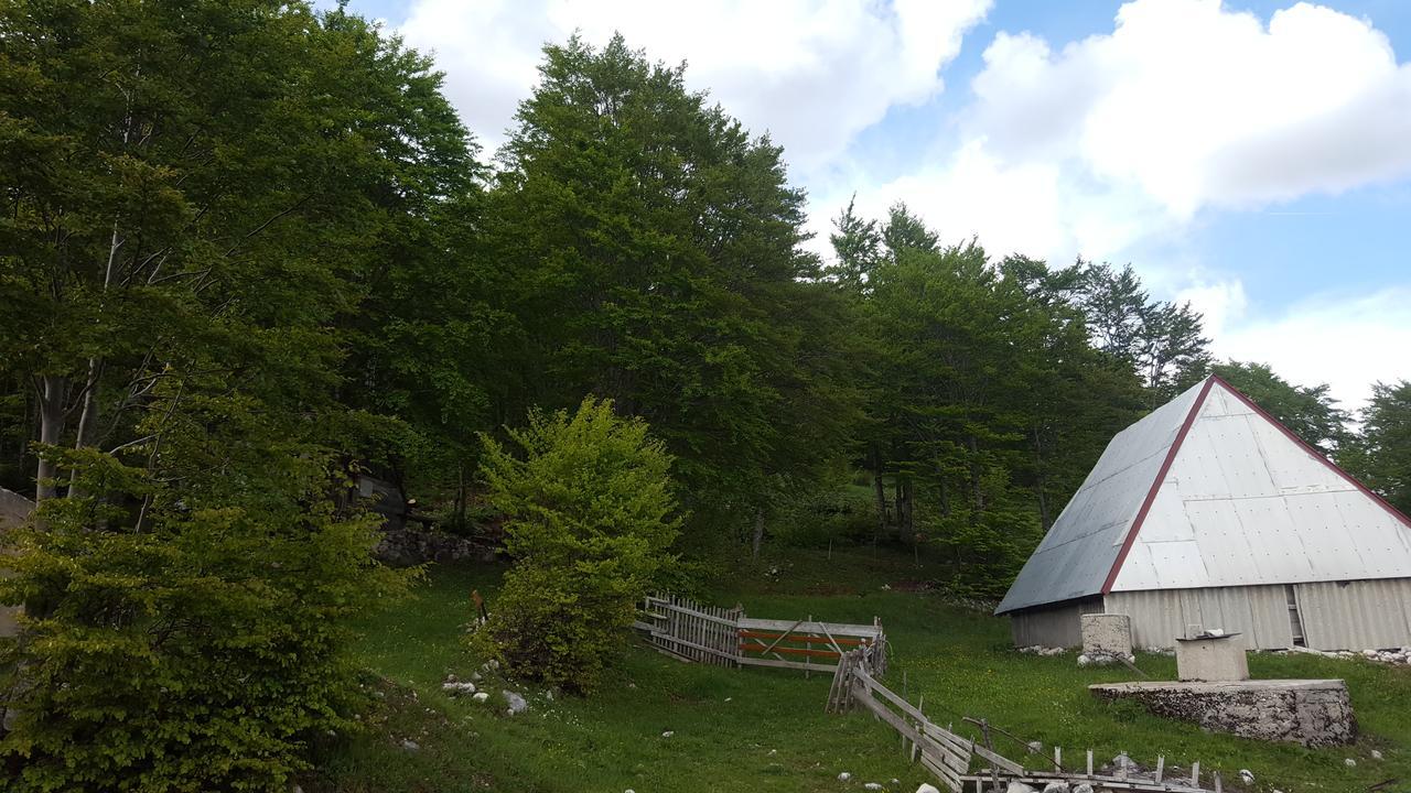 Hawkeye Villa Žabljak Екстериор снимка